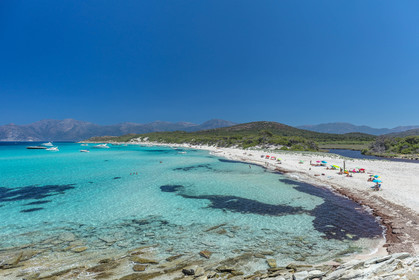 Saleccia