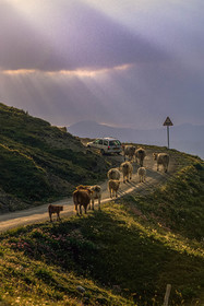 Col des Champs