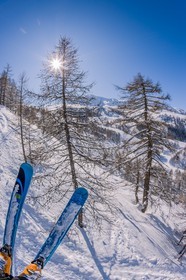 Auron
