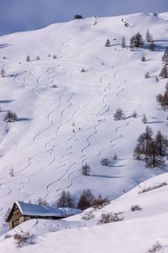 Auron