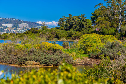 Lérins Sainte-Marguerite