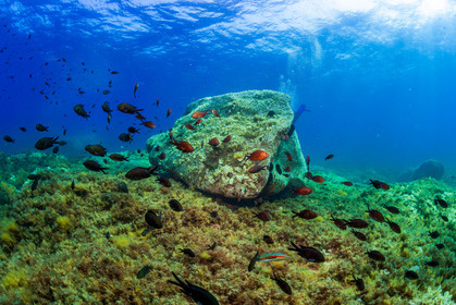 Plongée-sous-marine