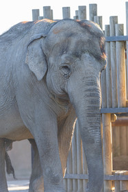 Parc animalier de la Barben