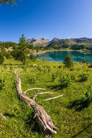 Lac d'Allos