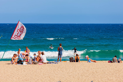Surf