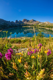 Lac d'Allos