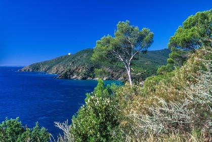 Cavalaire