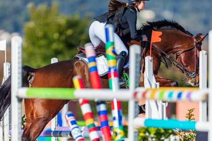 Equitation