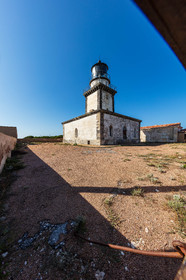 Pertusato