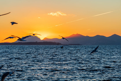 Cap d'Antibes