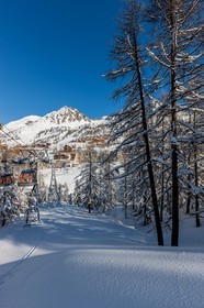 Isola 2000