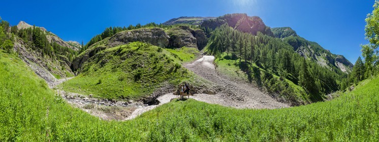 Allos