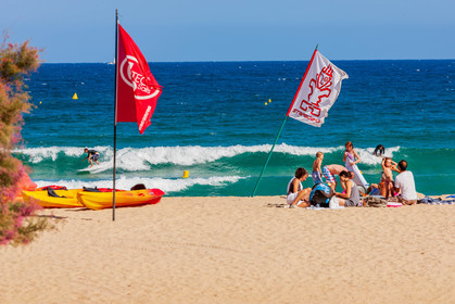 Surf