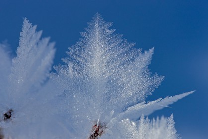 Cristaux de neige