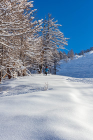 Auron