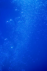 Plongée-sous-marine