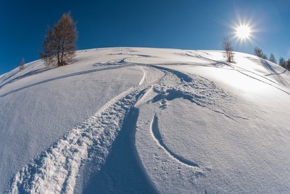 Auron