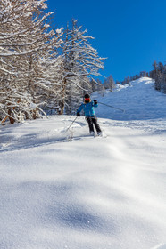 Auron