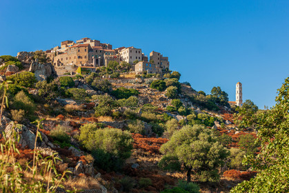 Sant' Antonino
