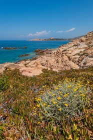 Isola Rossa