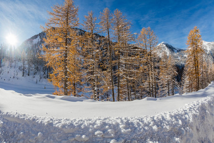 Isola 2000