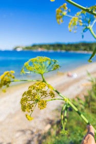 Lérins Sainte-Marguerite 2024