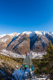 Auron