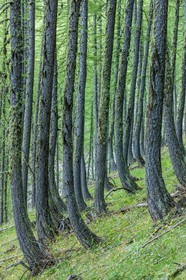 Rando Vtt Lacs de Lignin