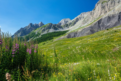 Col des Champs