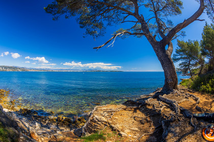 Lérins Sainte-Marguerite 2024