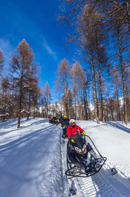 Skidoo