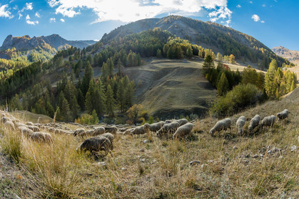 Col de la Bonette