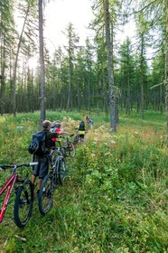 Rando Vtt Lacs de Lignin