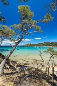 Porquerolles
