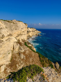Bonifacio