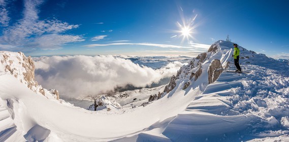 Ski