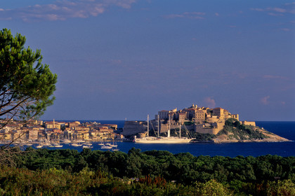 Calvi