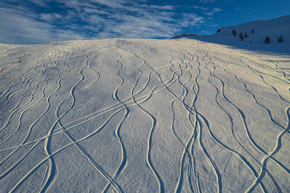 Auron