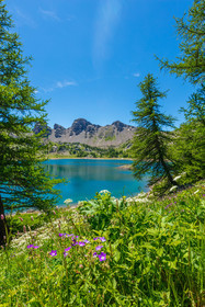 Lac d'Allos