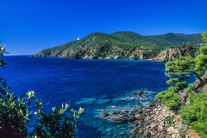 Cavalaire