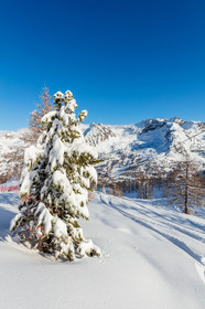Isola 2000