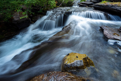 Torrent