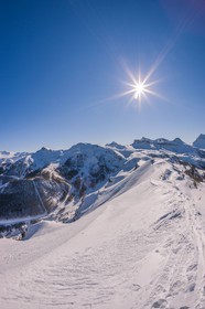 Auron