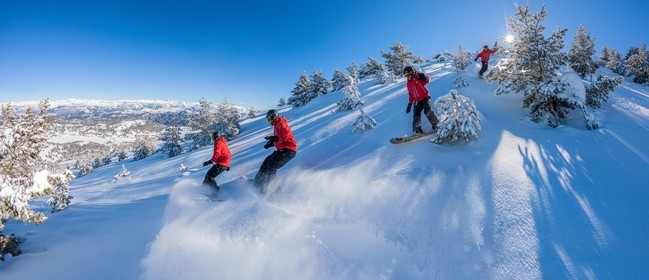 Snowboard