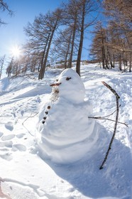 Bonhomme de neige
