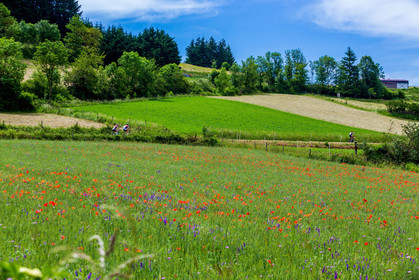 Naussac