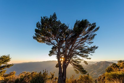 Toudon vu du Mont Vial