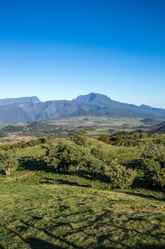 Ile de La Réunion