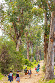 Lérins Sainte-Marguerite