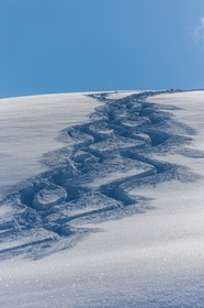 Auron